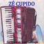 Sucessos de Luiz Gonzaga, Vol. 2 Albumcover