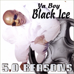 5.0 Reasons 10th Anniversary (1998-2008) cover