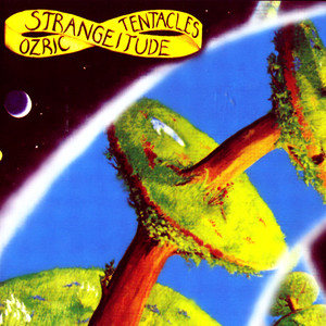 Strangeitude cover