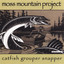 Catfish Grouper Snapper Albumcover