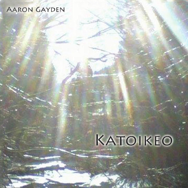 Aaron Gayden Photo