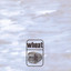 Medeiros cover