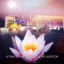 My Time with Spa Music – Ultimate Spa and Wellness Relaxation Albumcover