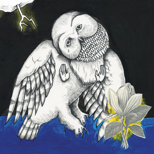 Magnolia Electric Co. (10th Anniversary Deluxe Edition) album