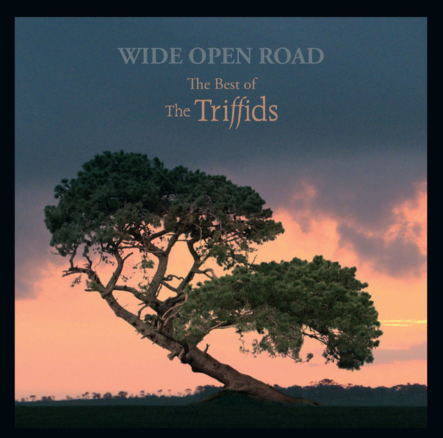 Wide Open Road - The Best Of The Triffids cover