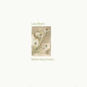 Before Sleep Comes cover