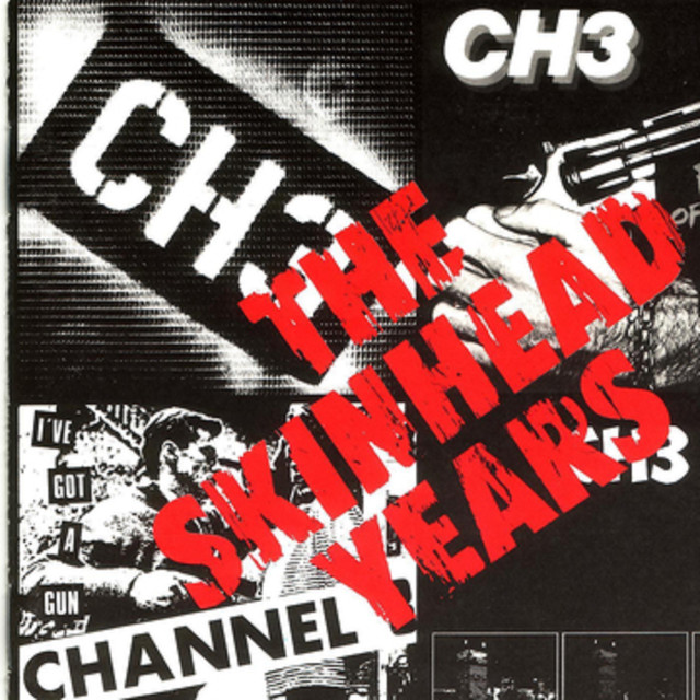 The Skinhead Years cover