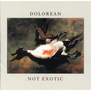 Not Exotic cover