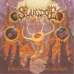 Esoteric Malacology album