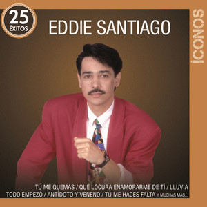 Íconos 25 Éxitos cover