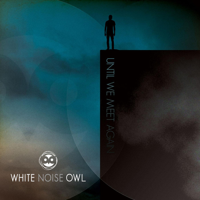 White Noise Owl Photo