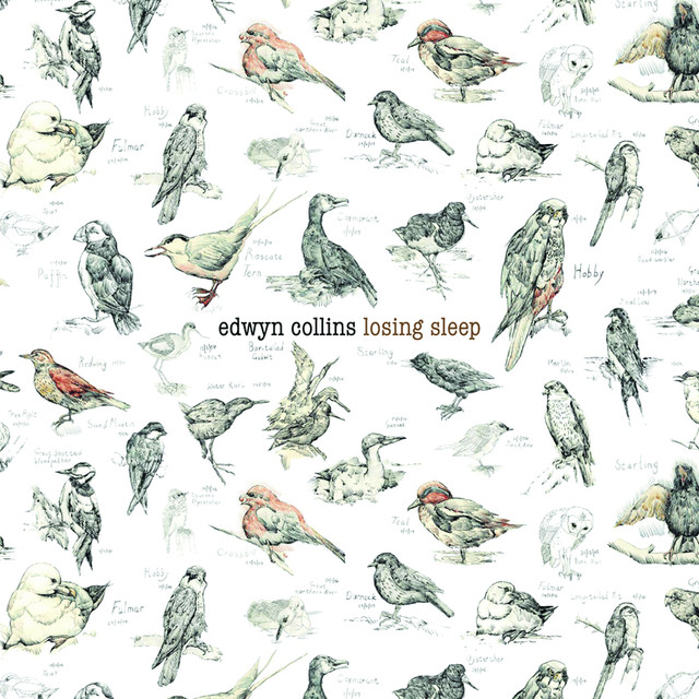 Losing Sleep cover