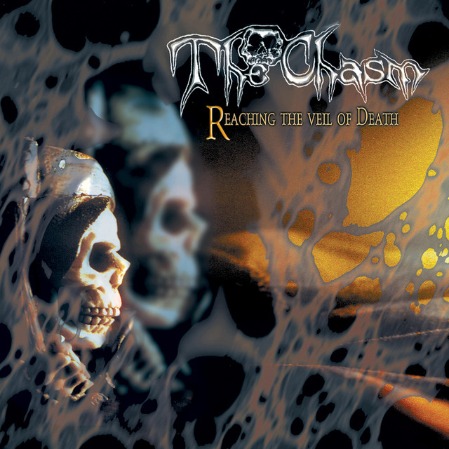 Reaching The Veil Of Death cover