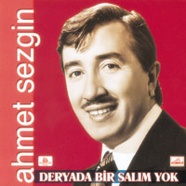 Ahmet Sezgin Photo