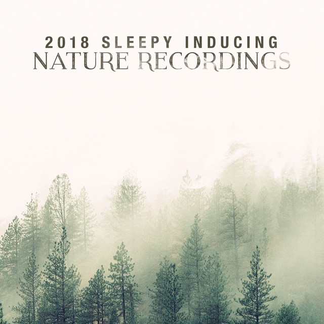 2018 Sleepy Inducing Nature Recordings