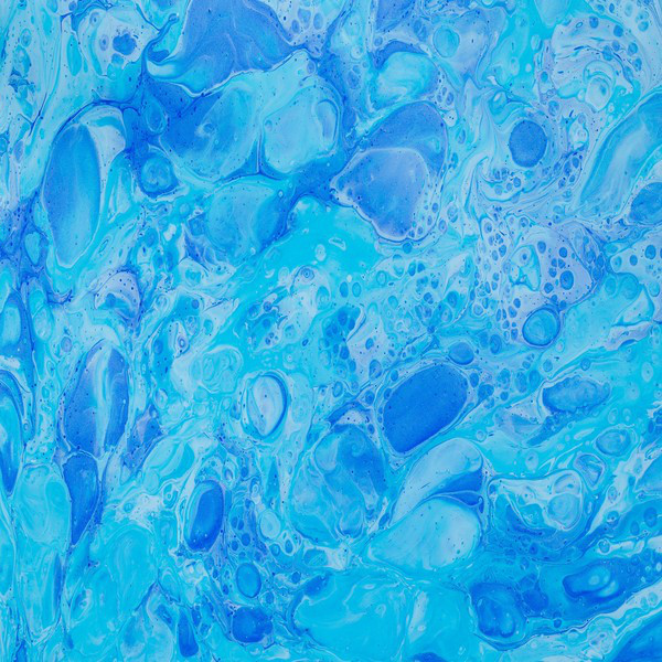 TEAL Photo
