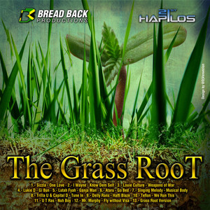The Grass Root Riddim album