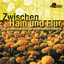 Zwischen Hain Und Flur (Eine Musikalische Reise Auf Den Pfaden Der Romantik) Albumcover