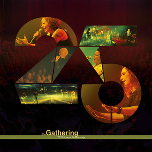 TG25: Live at Doornroosje cover