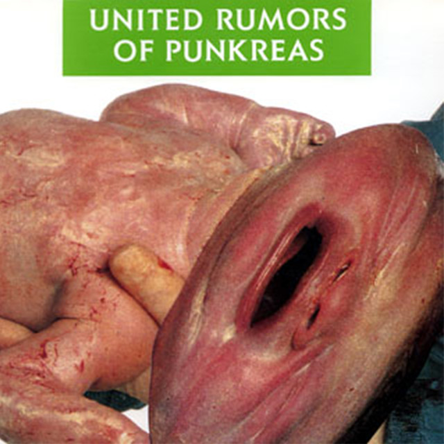 United Rumors Of Punkreas cover