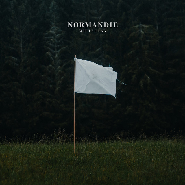 Musik Album 'White Flag'