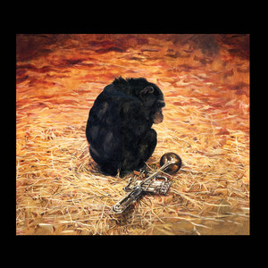The Hens Lay Everyday cover