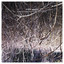 Winter Garden cover