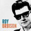 Roy Orbison cover