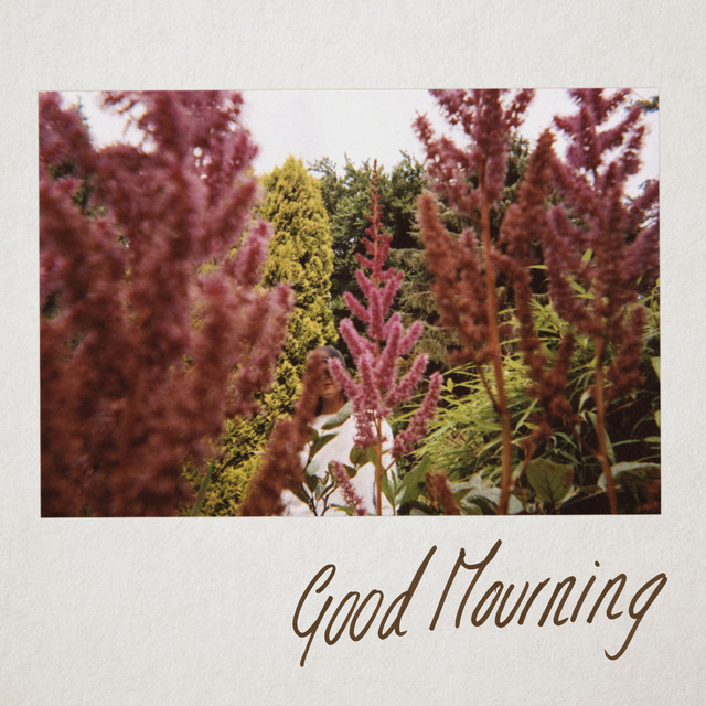 Good Mourning cover