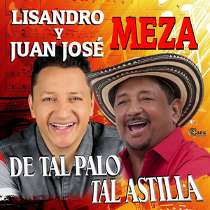 De Tal Palo Tal Astilla cover