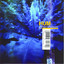 Downward Is Heavenward cover