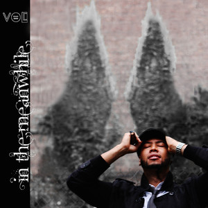 In the Meanwhile cover