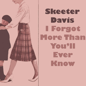 I Forgot More Than You'll Ever Know album