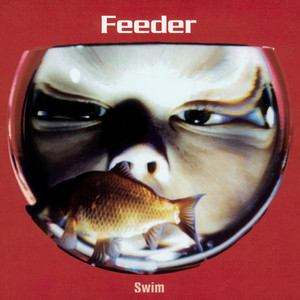 Swim album