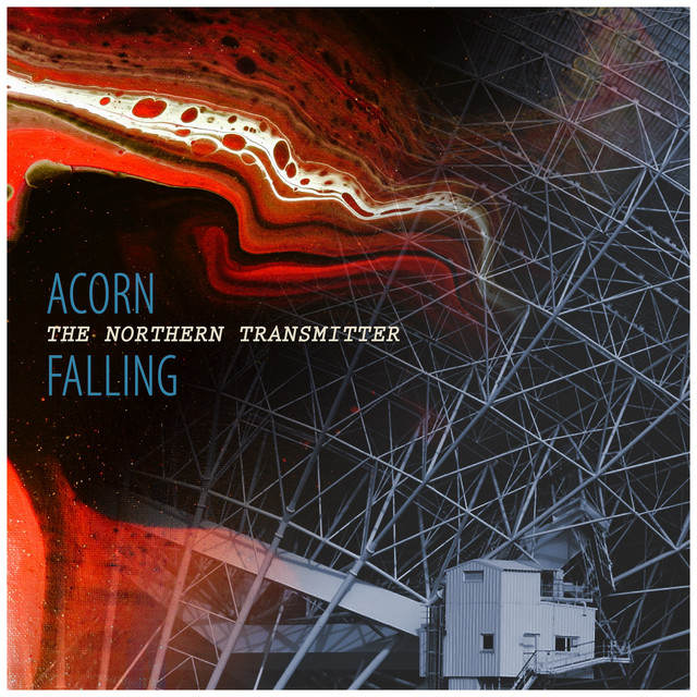 Acorn Falling Photo