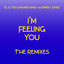 I'm Feeling You - The Remixes cover