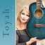The Acoustic Album cover