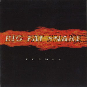 Flames album