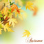 Autumn: Relax Your Mind with Relaxation Music Albumcover