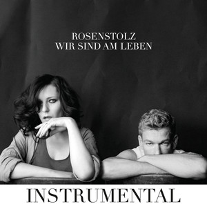 Wir sind am Leben (Instrumental Version) album