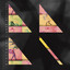 Birthmarks cover