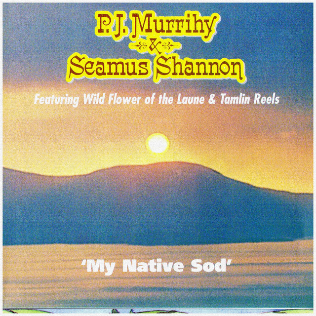 Seamus Shannon Photo