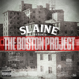 The Boston Project cover
