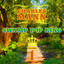 Swamp Pop King, Vol. 1 Albumcover