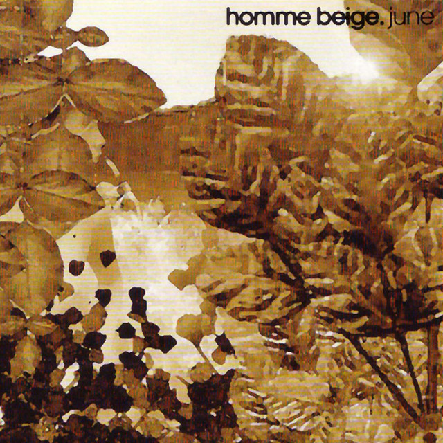 Homme Beige Photo