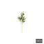 Olive Branch cover