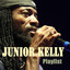Junior Kelly : Playlist cover
