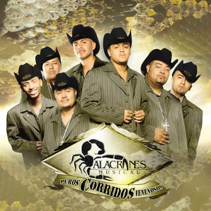 Puros Corridos Venenosos cover