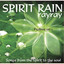 Spirit Rain Albumcover