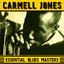 Essential Blues Masters cover